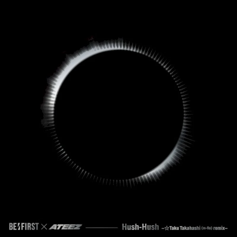 Hush-Hush -☆Taku Takahashi remix-