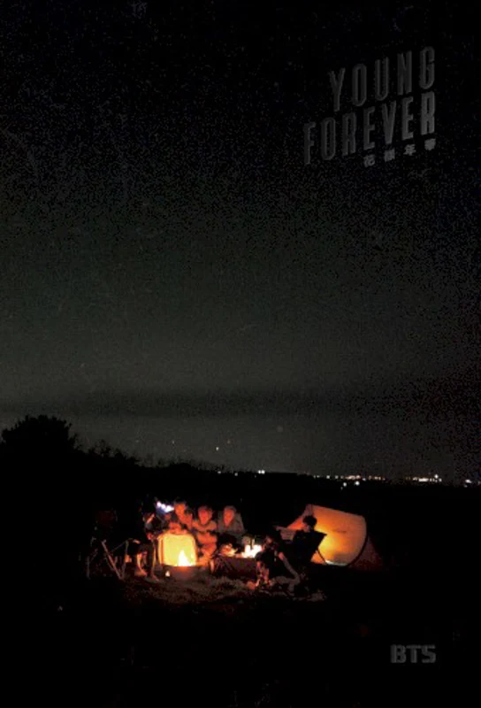 화양연화 Young Forever