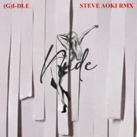 Nxde (Steve Aoki rmx)
