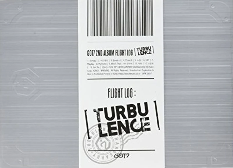 FLIGHT LOG : TURBULENCE