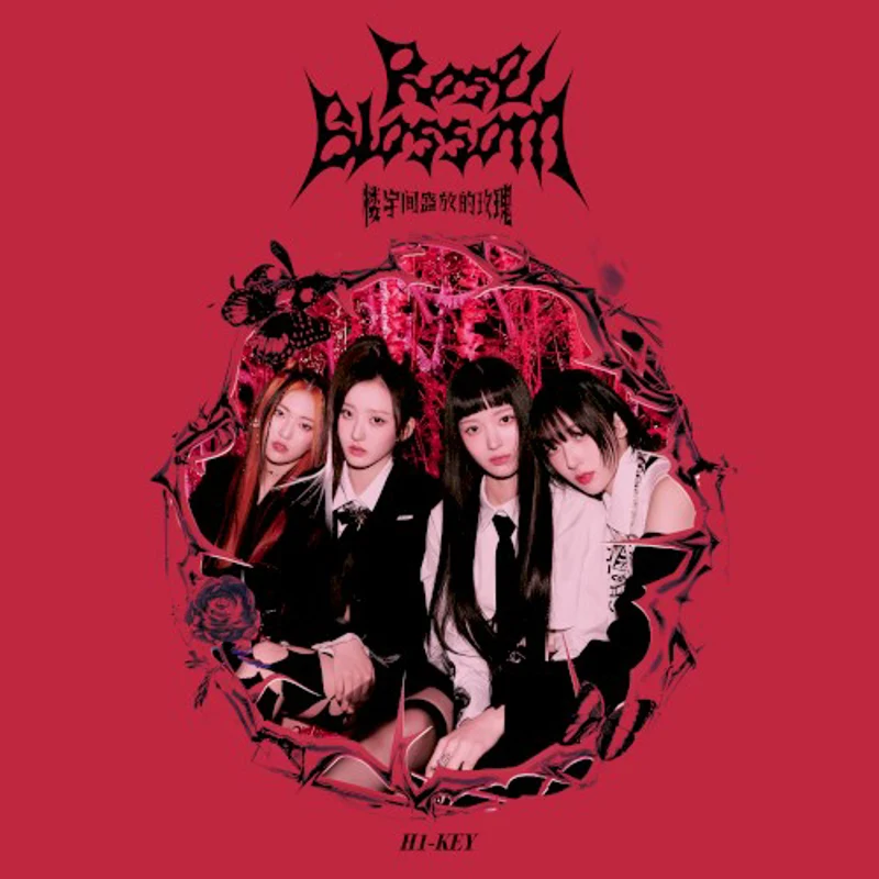 楼宇间盛放的玫瑰