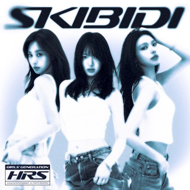 Skibidi cover