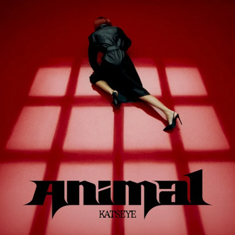 Animal (on the dance floor)