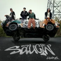 Saucin’