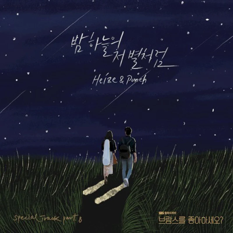 밤하늘의 저 별처럼 (브람스를 좋아하세요? OST 스페셜 트랙)