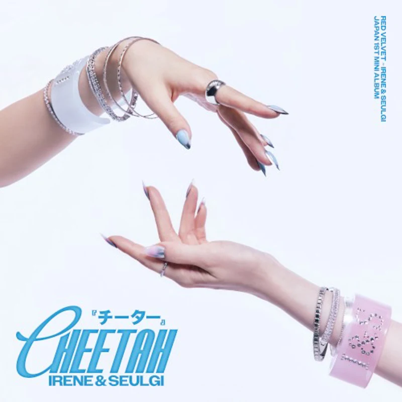 Cheetah cover