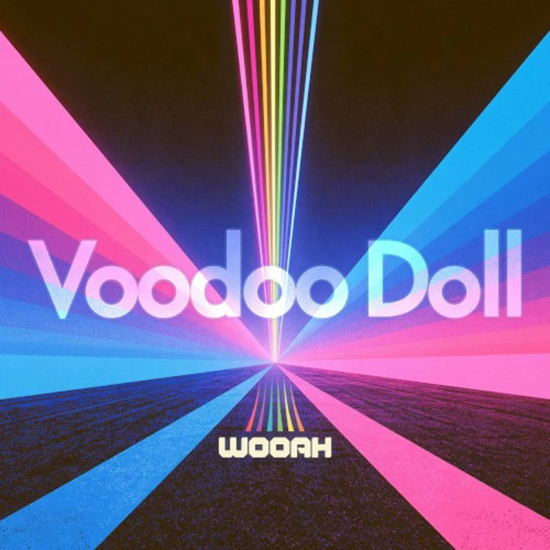 VOODOO DOLL cover