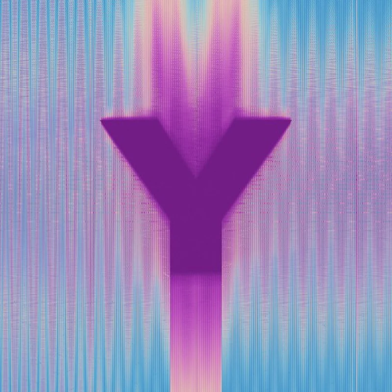 Y