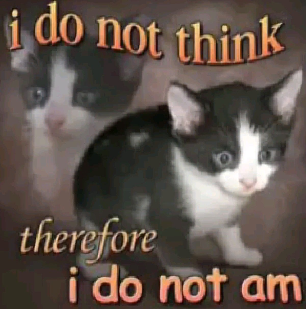 Chat media