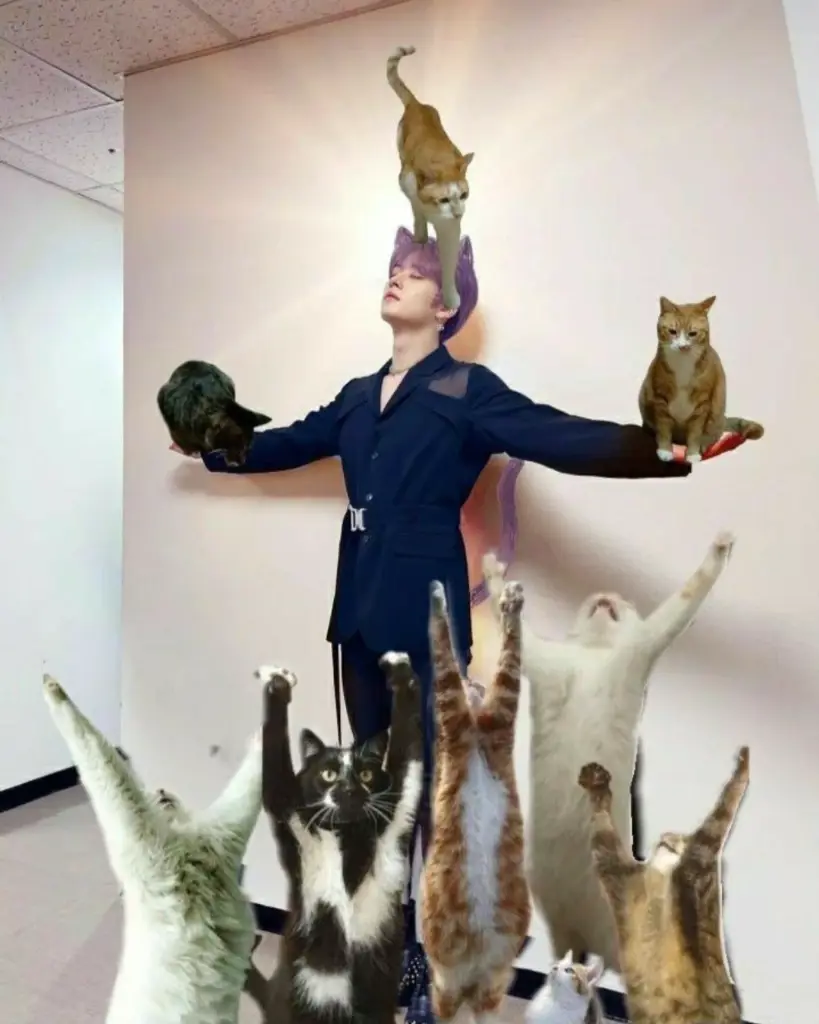 Chat media