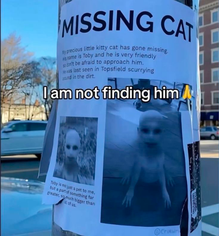 Chat media