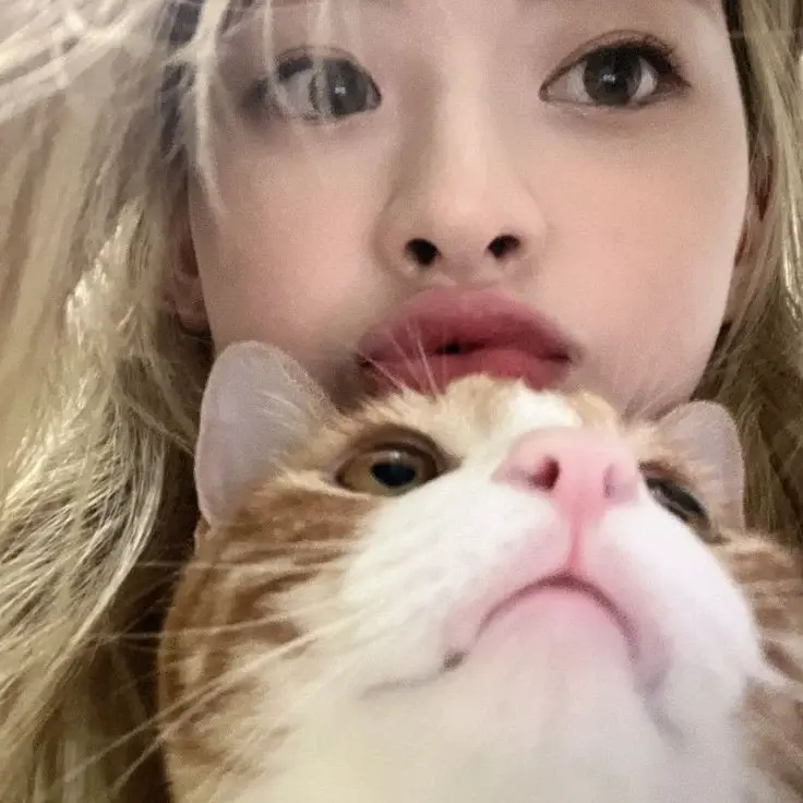 Chat media