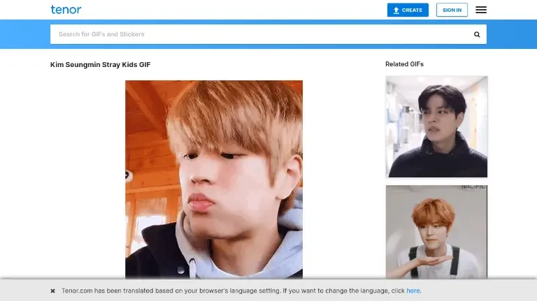 Chat media