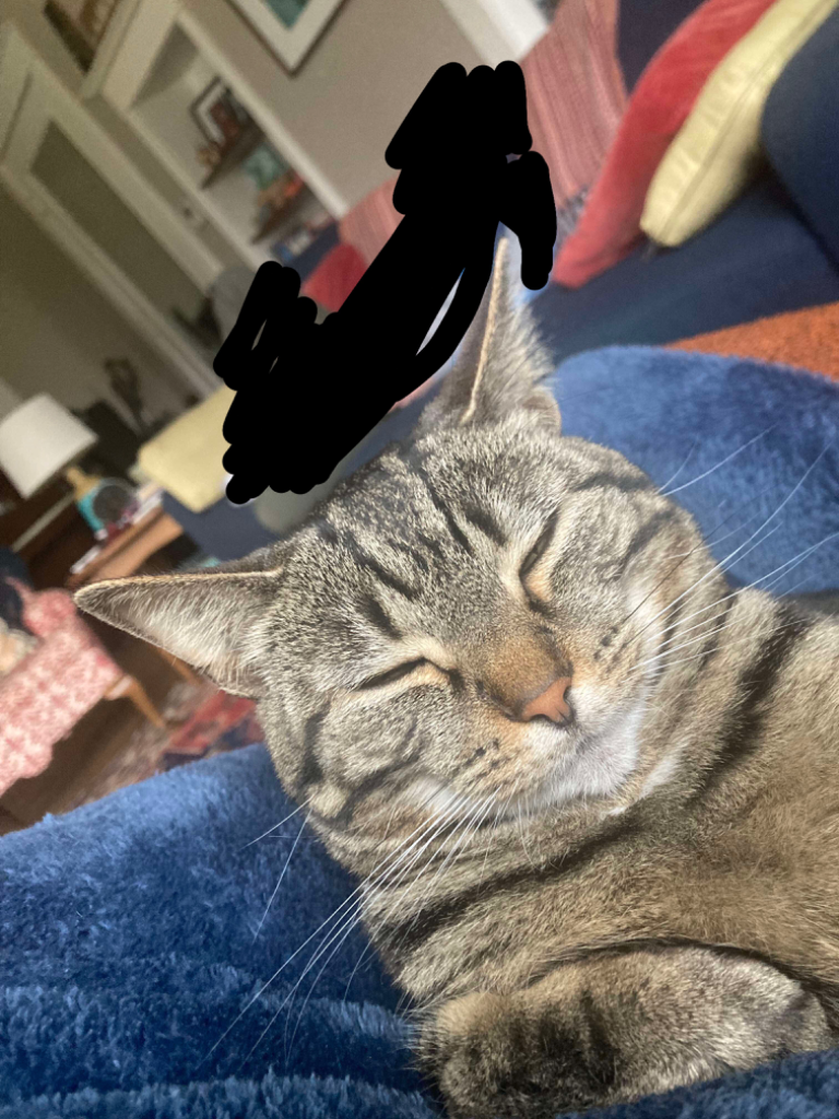 Chat media