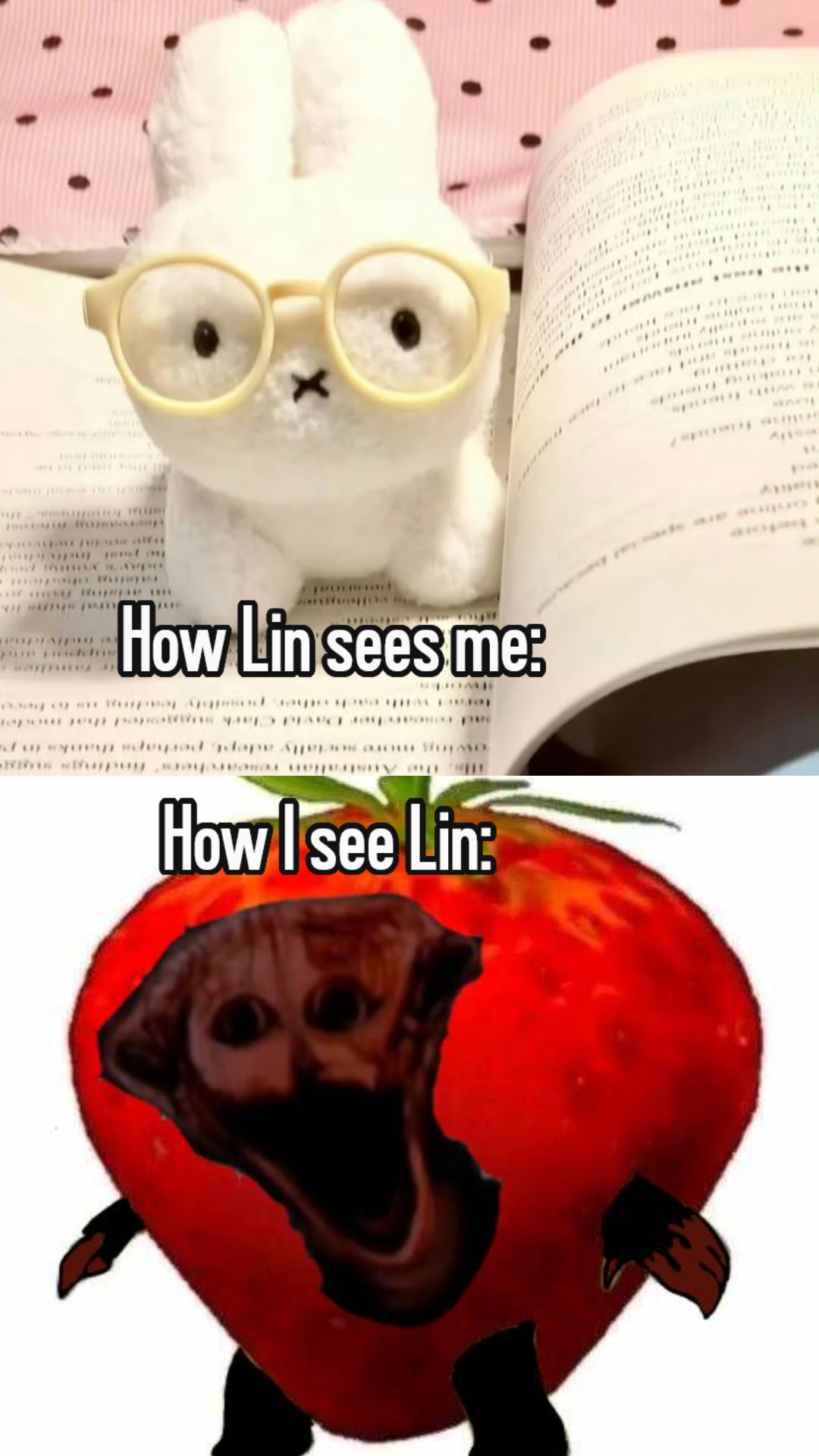 Memes I made hehe pt.1 btw is nochuriz if u didnt know hehe