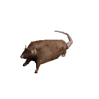 Chat media