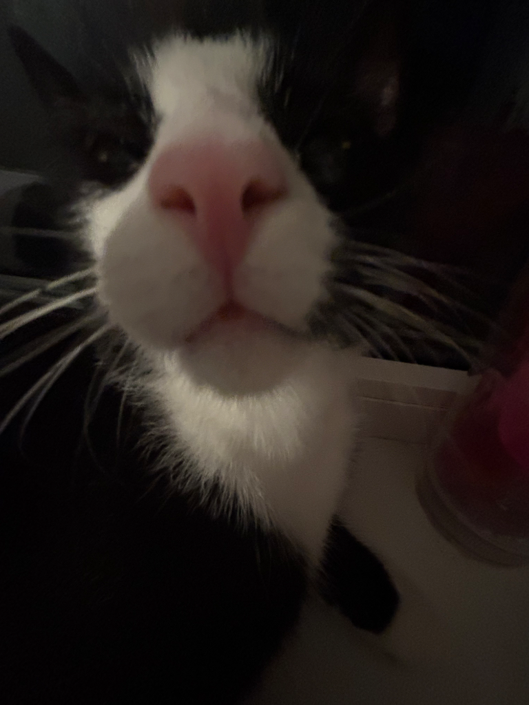 Chat media