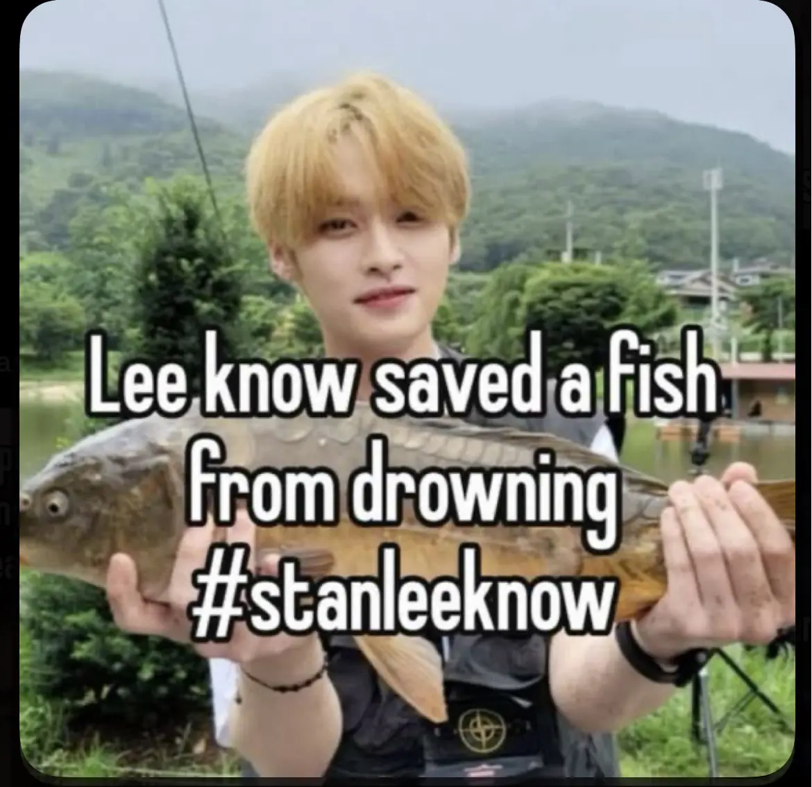 Photo shared on KpopVisage