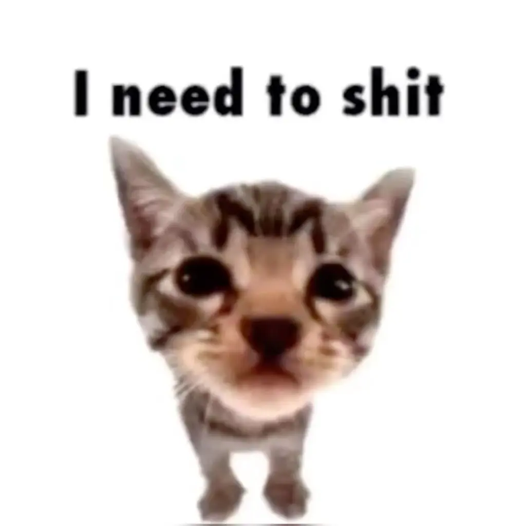 Chat media