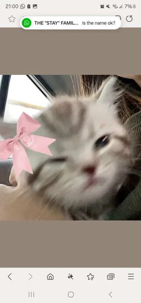 Chat media