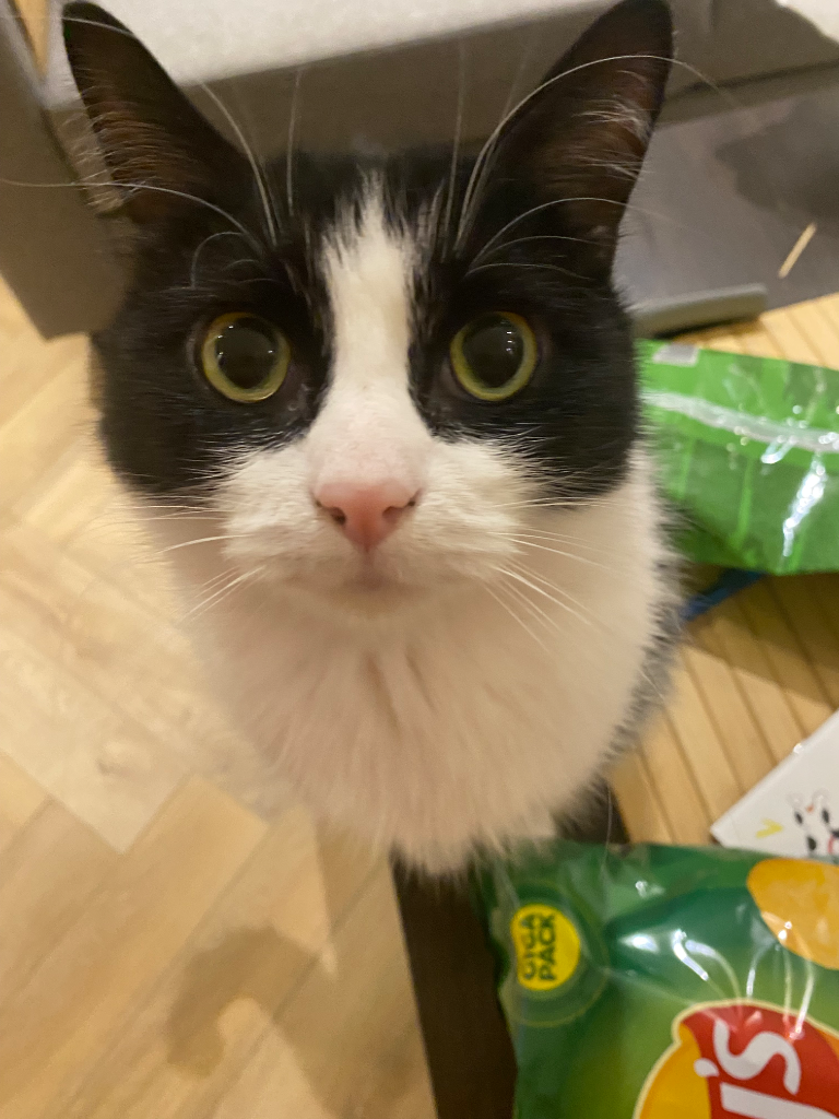 Chat media