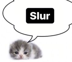 Chat media