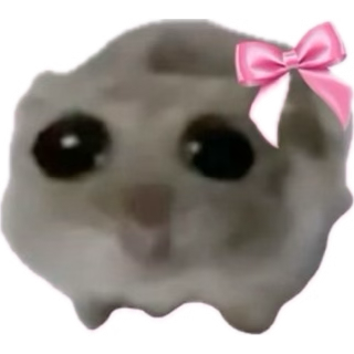 Chat media