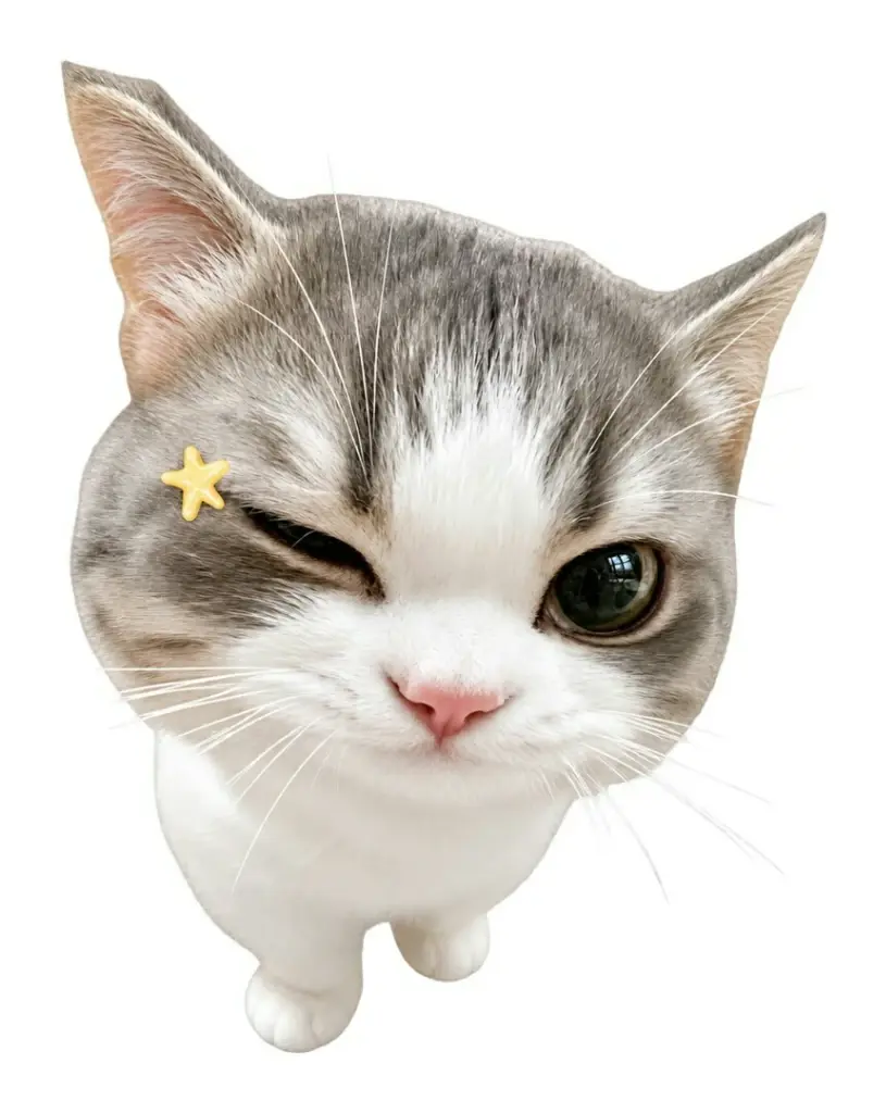 Chat media