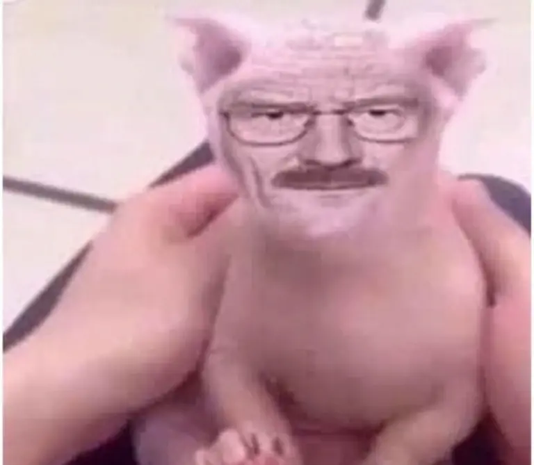 Chat media