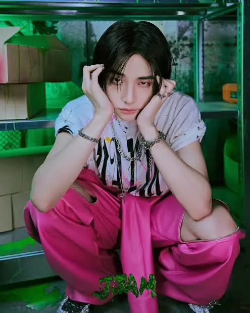 Holy visuals bro😭😭 (Yes im a hyunlix shipper)