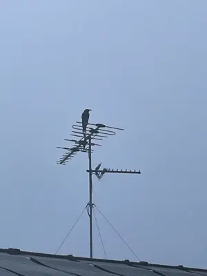 Post media 1