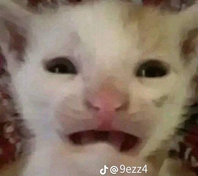 Chat media