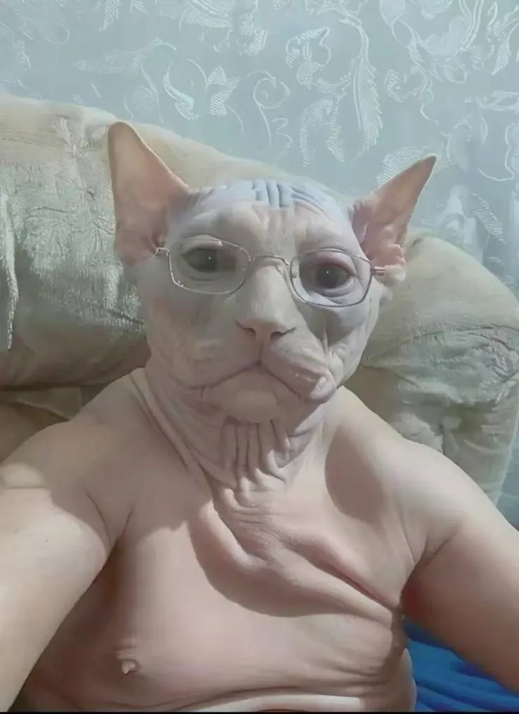Chat media
