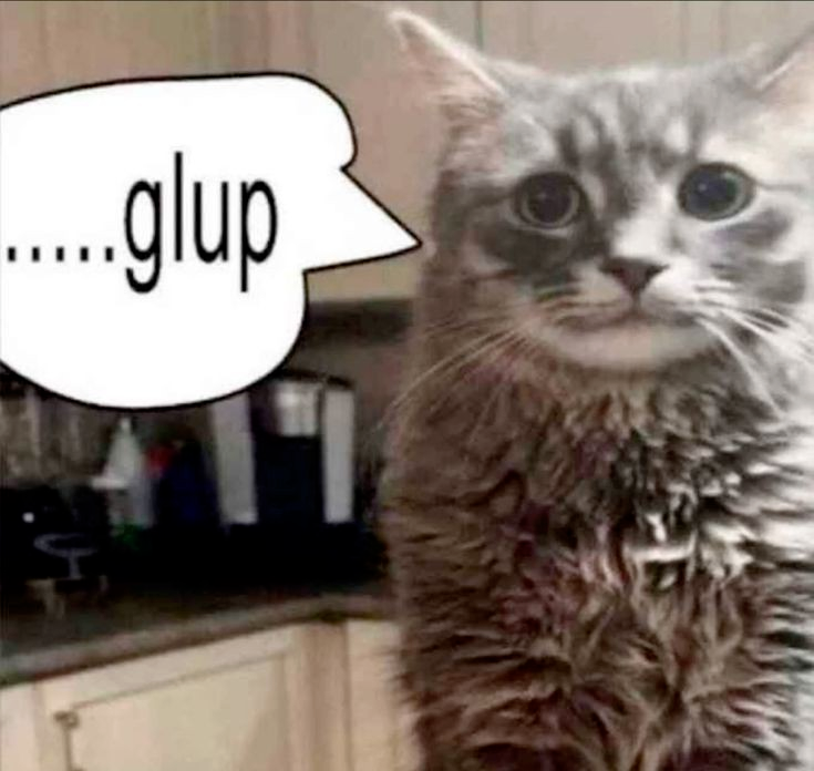 Chat media