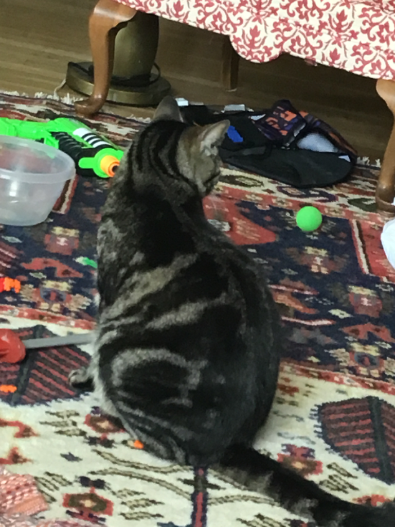 Chat media