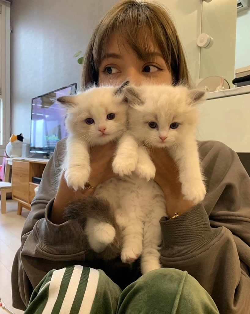 Chat media