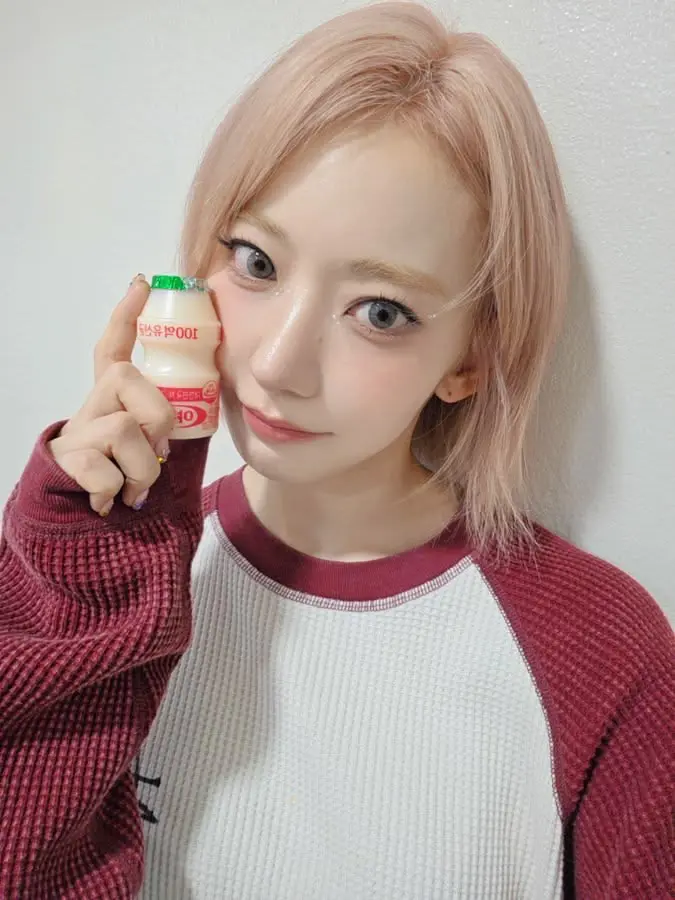 sakura -