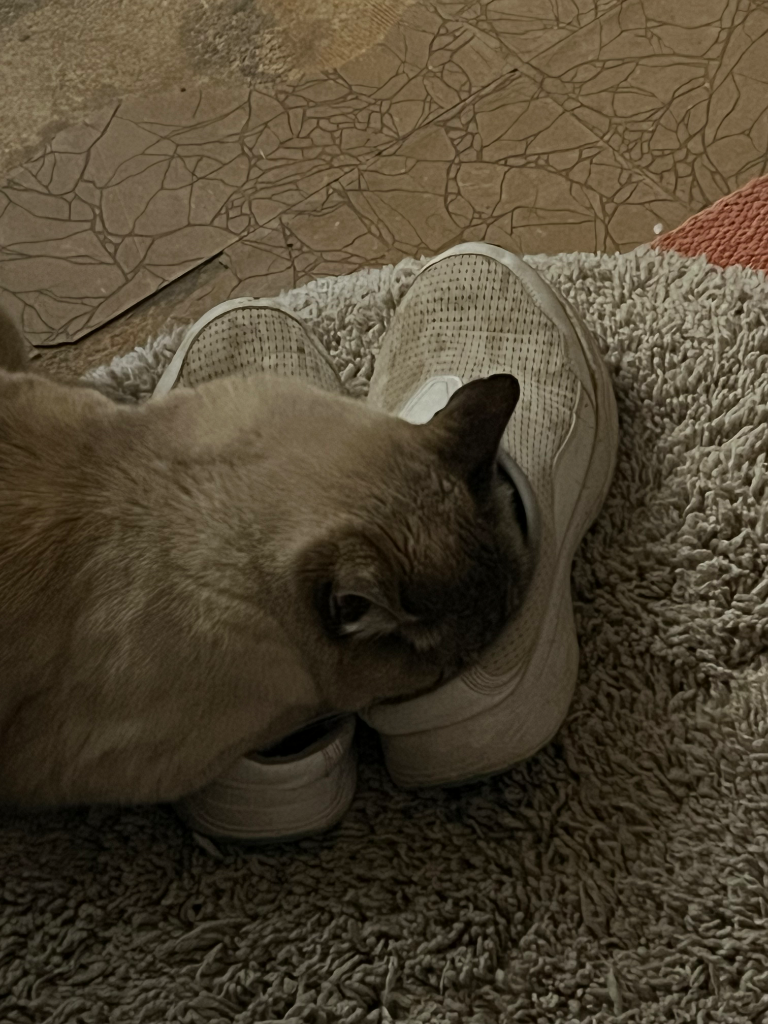 Chat media
