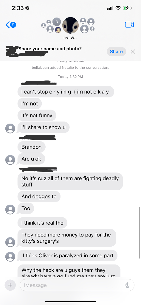 Chat media