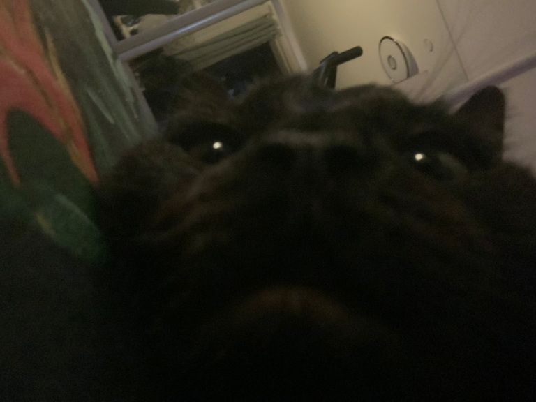 Chat media