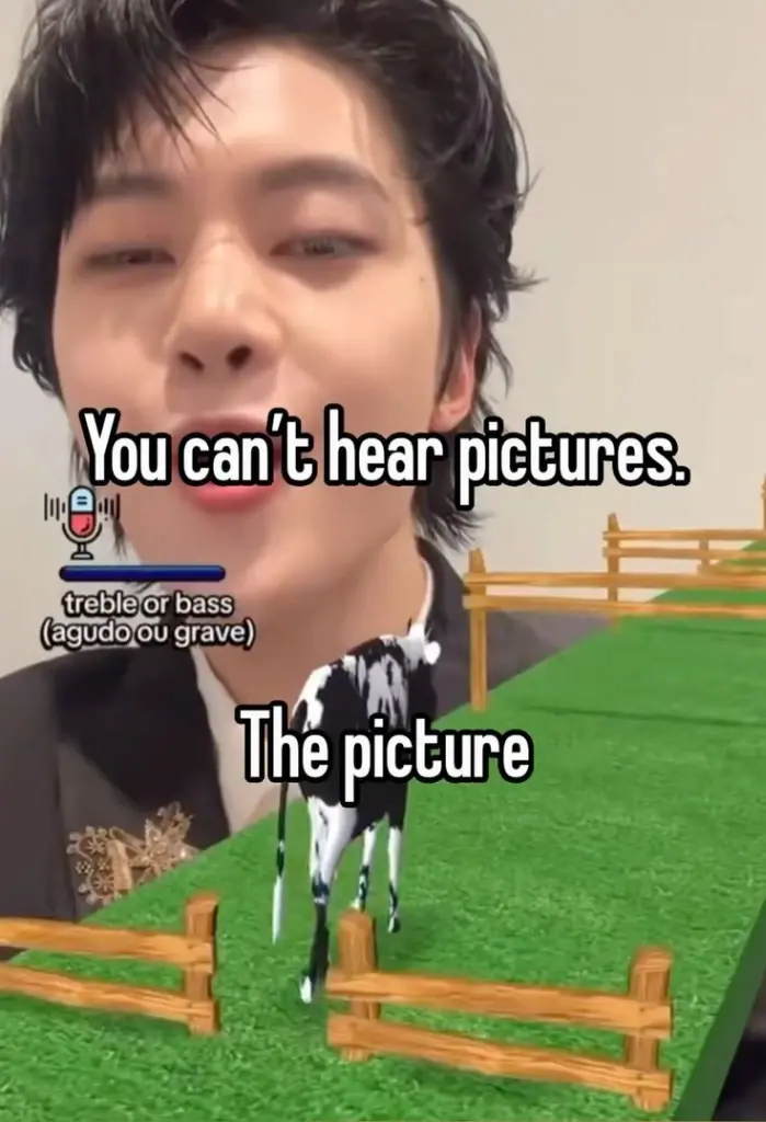 Chat media
