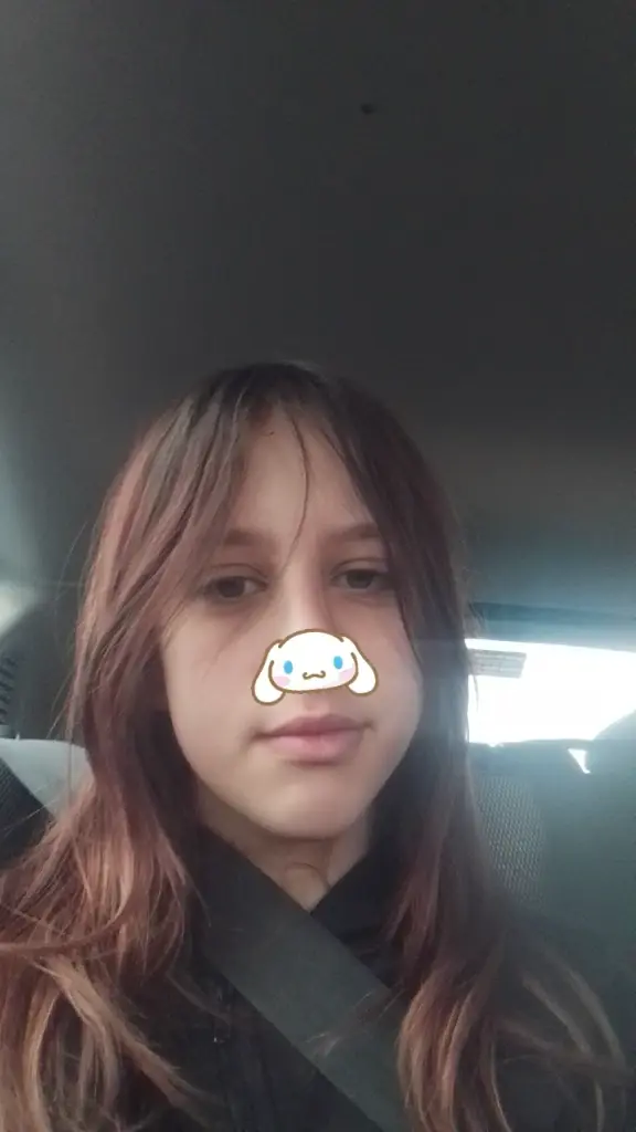 Chat media
