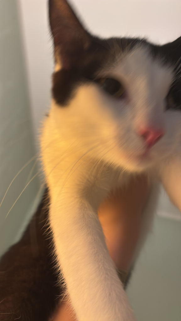 Chat media