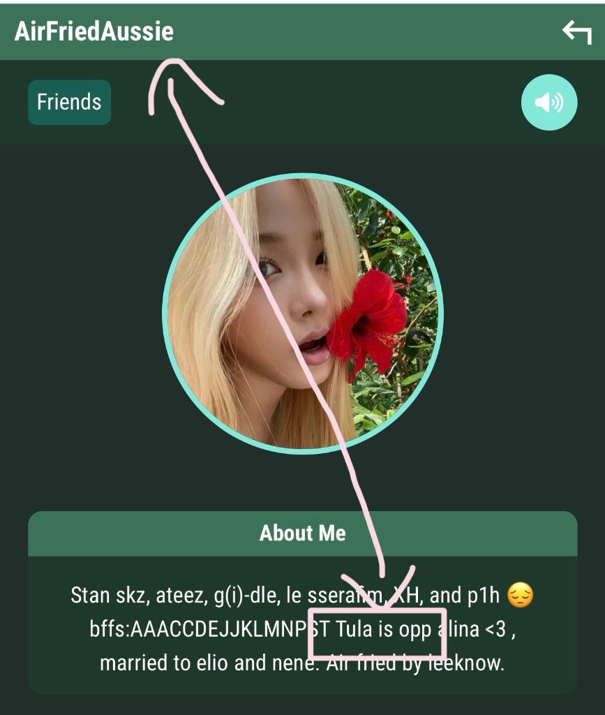 Chat media