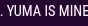 Chat media