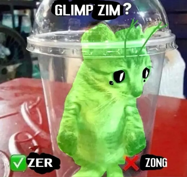 Chat media