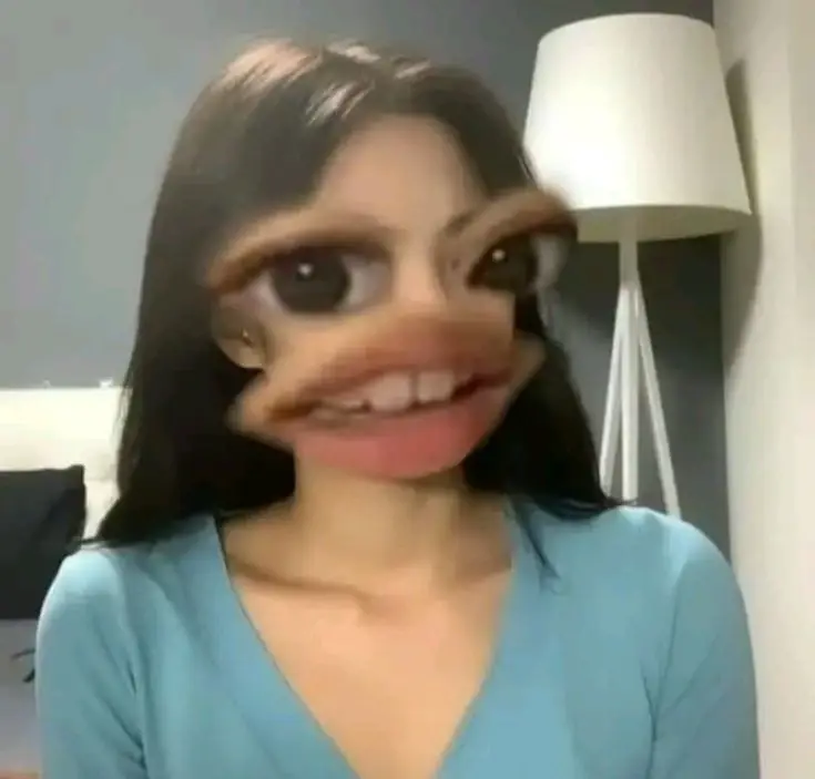 Chat media
