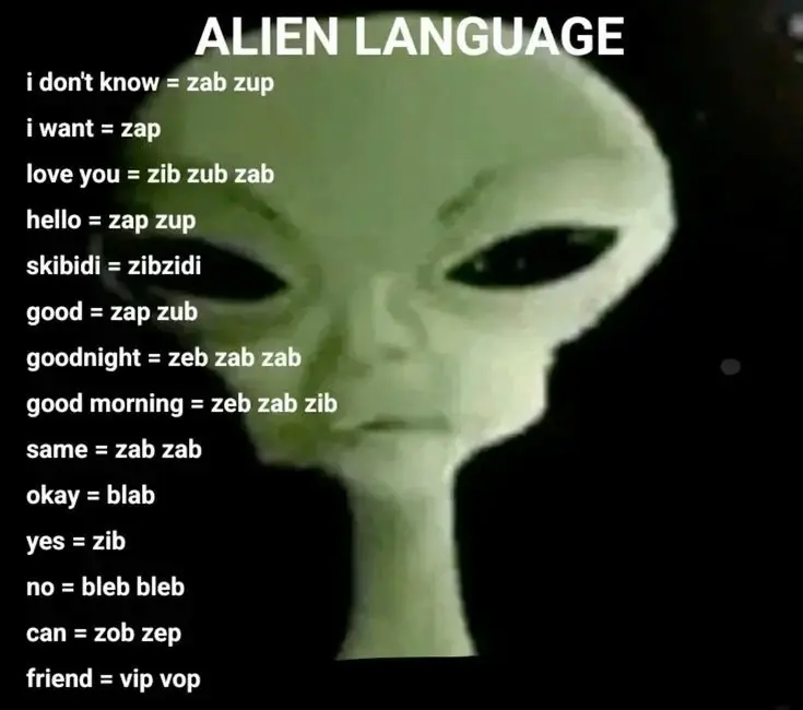 Chat media