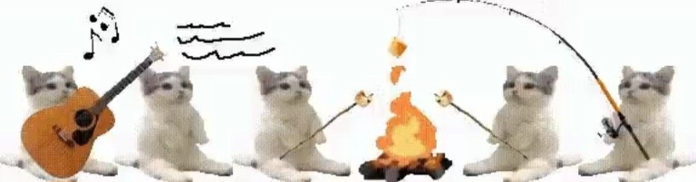 Chat media