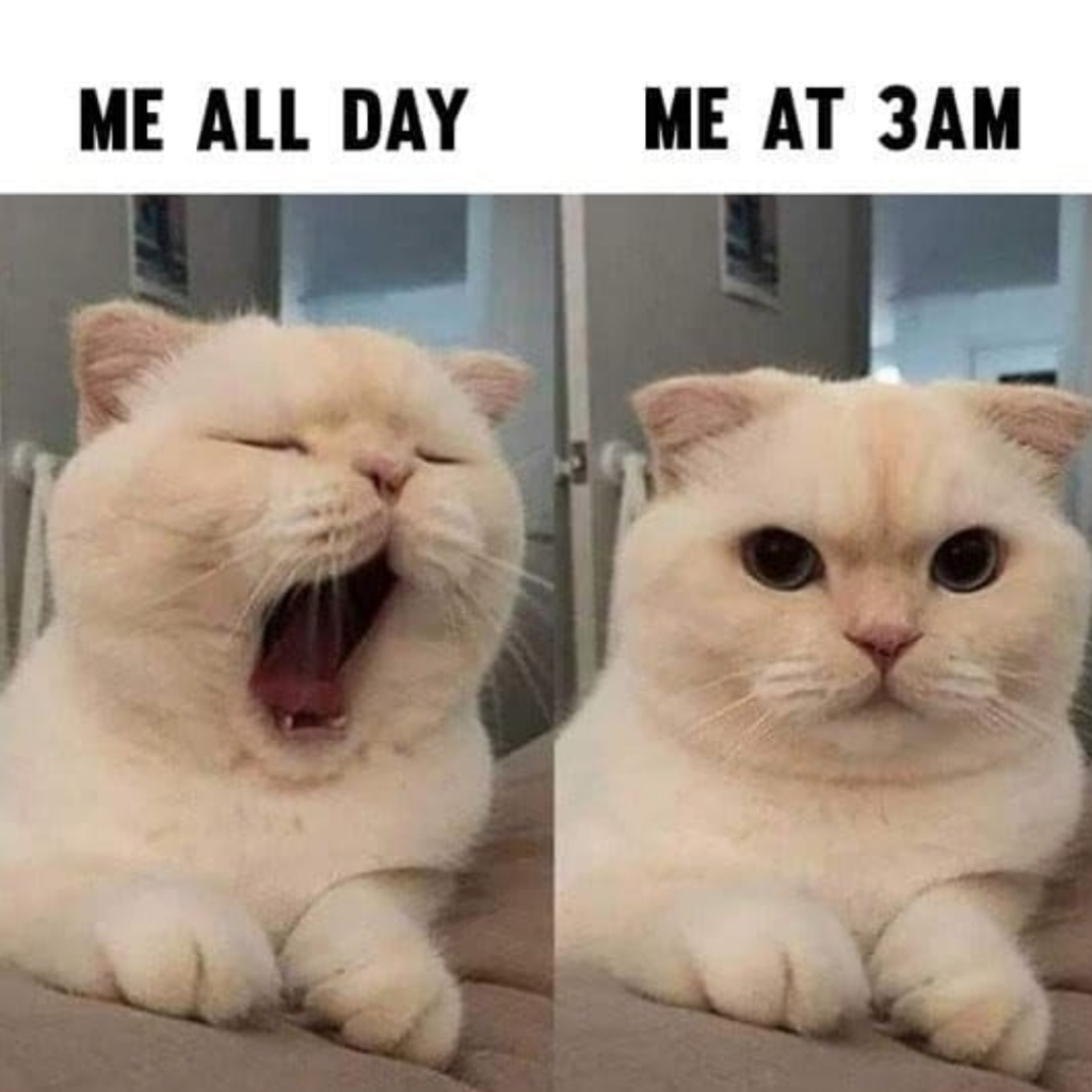 Chat media